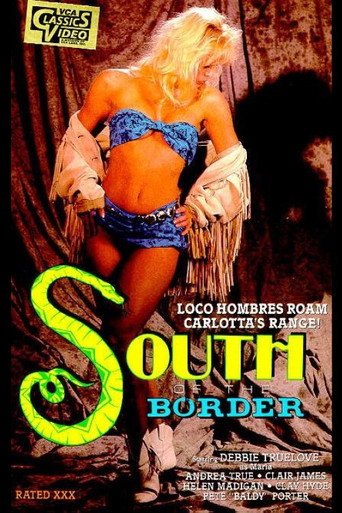Poster for South of the Border