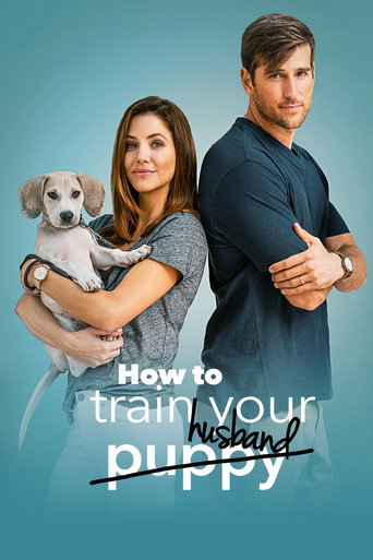 Poster for How to Train Your Husband