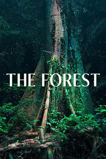 Poster for The Forest