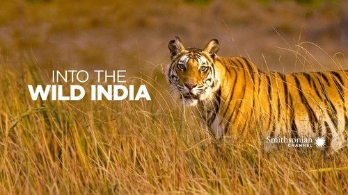 Into the Wild: India scene 1