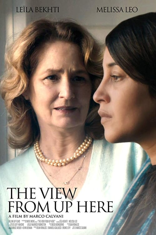 Poster for The View from Up Here