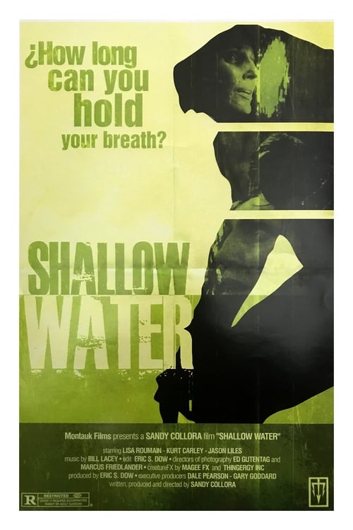 Poster for Shallow Water