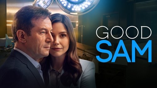 Good Sam scene 7
