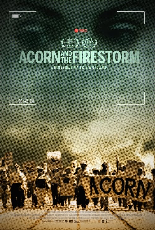 Poster for Acorn and the Firestorm