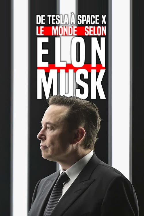 Poster for De Tesla à SpaceX, le monde selon Elon Musk