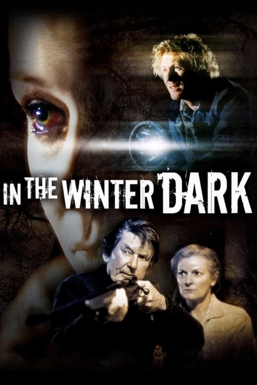 Poster for In the Winter Dark