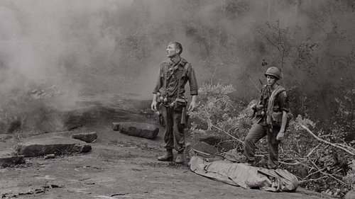 The Vietnam War scene 2