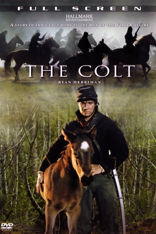 Poster for The Colt