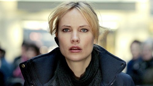Detective Inspector Irene Huss scene 1