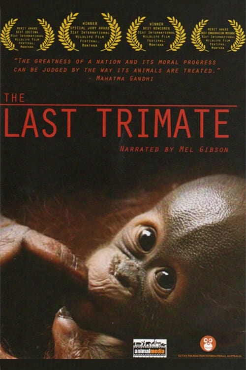 Poster for The Last Trimate