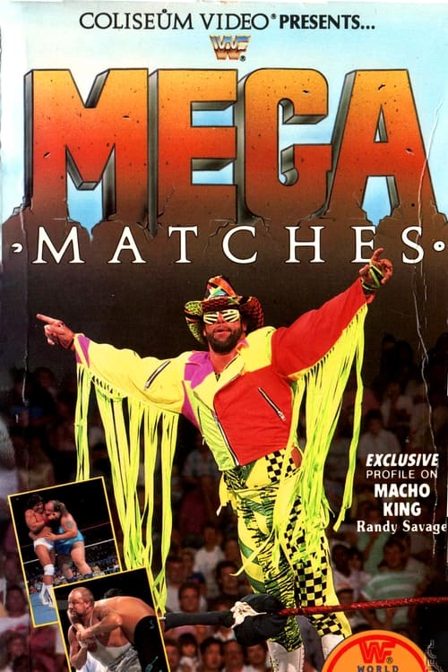 Poster for WWE Mega Matches