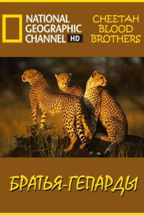 Poster for Cheetah Blood Brothers