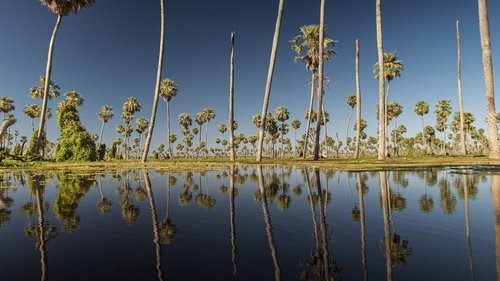 Wild Argentina: Extreme Earth scene 3
