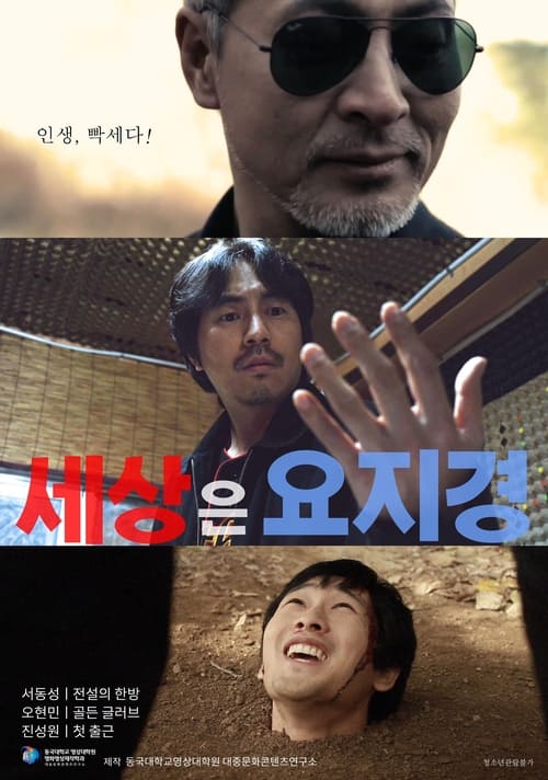 Poster for 세상은 요지경