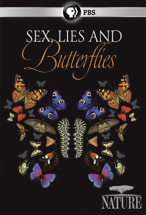 Poster for Sex, Lies and Butterflies