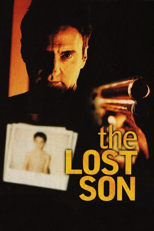 Poster for The Lost Son