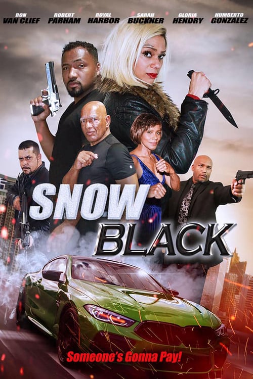 Poster for Snow Black