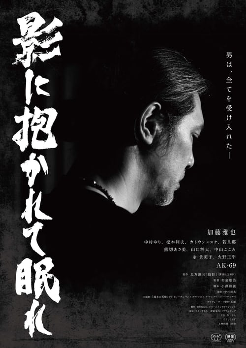 Poster for Sleep in the Shadows