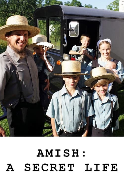 Poster for Amish: A Secret Life