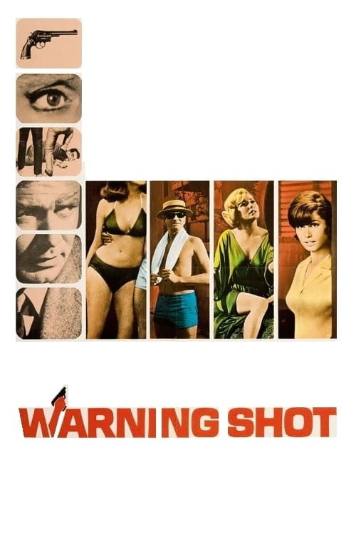 Poster for Warning Shot