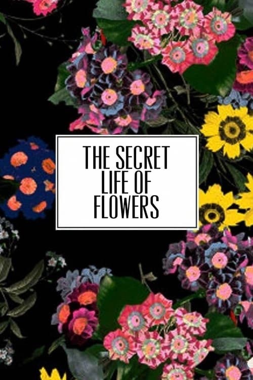 Poster for The Secret Life of Flowers