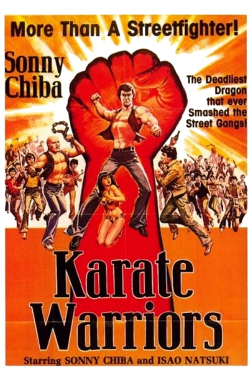 Poster for Karate Warriors