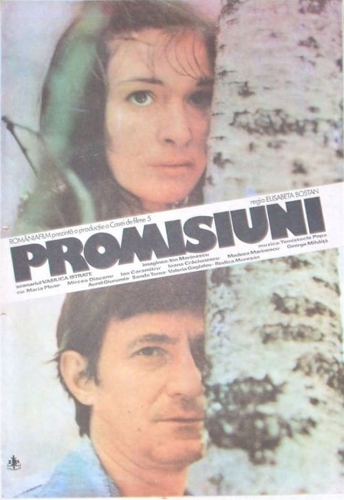 Poster for Promisses