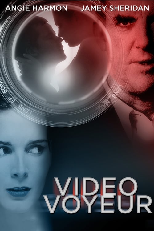 Poster for Video Voyeur: The Susan Wilson Story