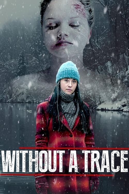 Poster for Without a Trace