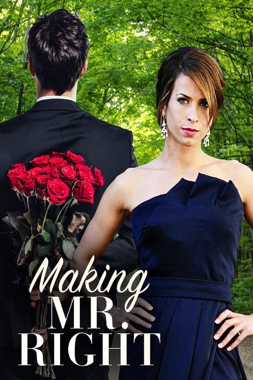 Poster for Making Mr. Right
