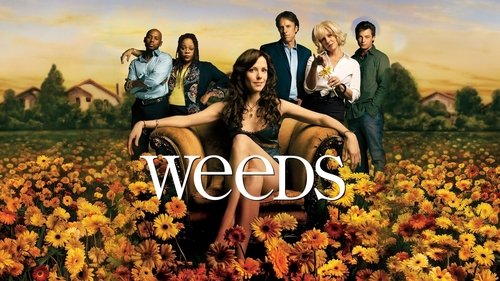 Weeds scene 2