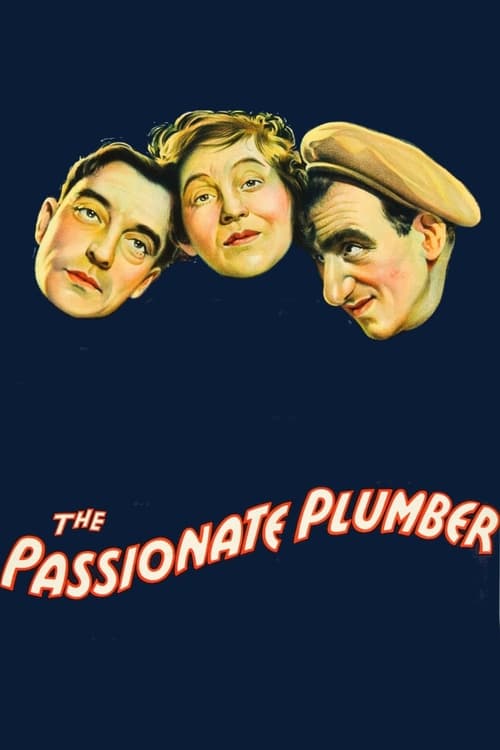 Poster for The Passionate Plumber
