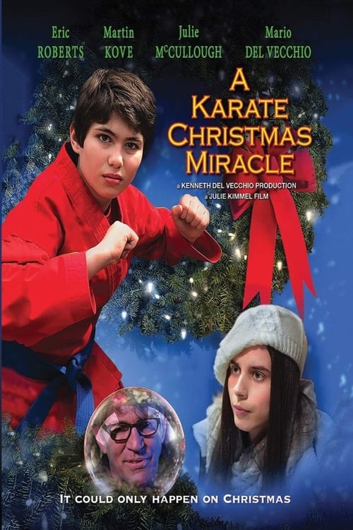 Poster for A Karate Christmas Miracle