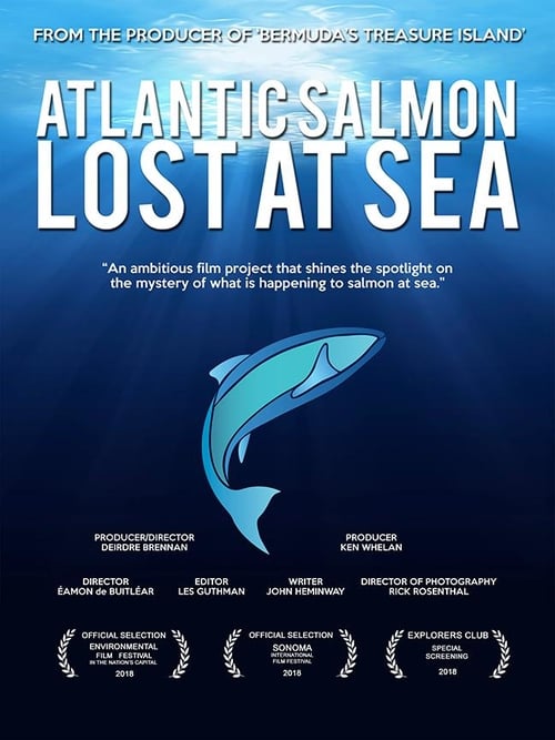 Poster for Atlantic Salmon: Lost at Sea