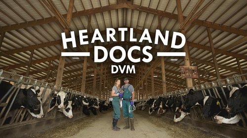Heartland Docs, DVM scene 3