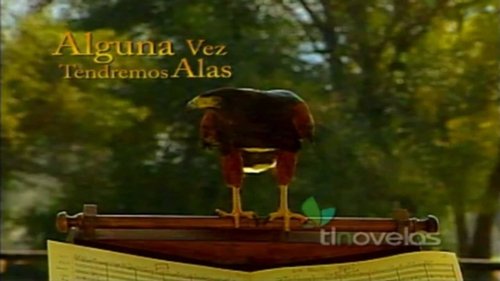 Alguna Vez Tendremos Alas scene 1