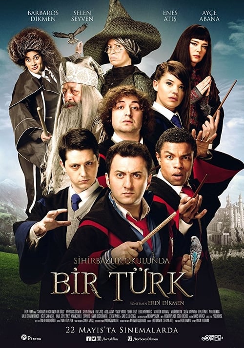 Poster for Sihirbazlık Okulunda Bir Türk