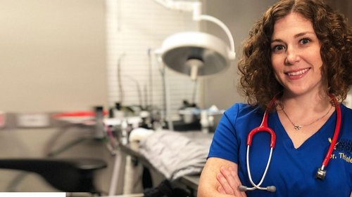 Dr. T, Lone Star Vet scene 1