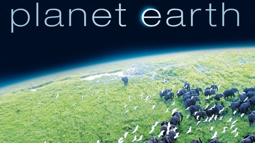 Planet Earth scene 5