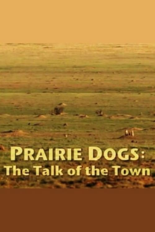 Poster for Prairie Dogs: Talk of the Town