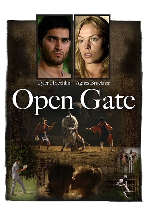 Poster for Open Gate
