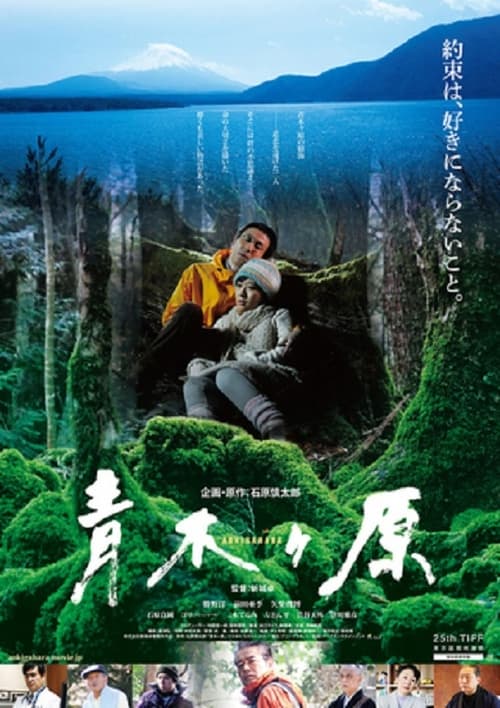 Poster for Aokigahara