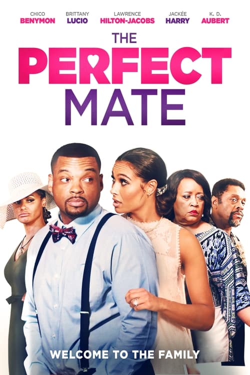 Poster for The Perfect Mate