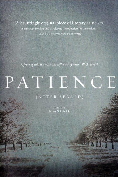 Poster for Patience (After Sebald)