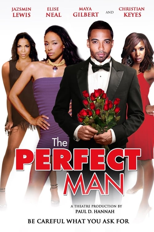 Poster for The Perfect Man