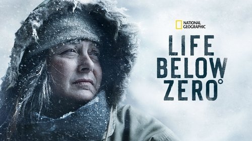 Life Below Zero scene 3