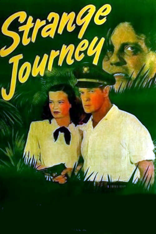 Poster for Strange Journey