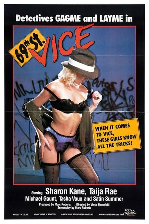Poster for 69th Street Vice