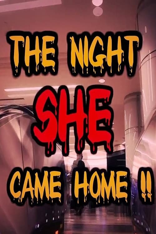 Poster for The Night She Came Home!!