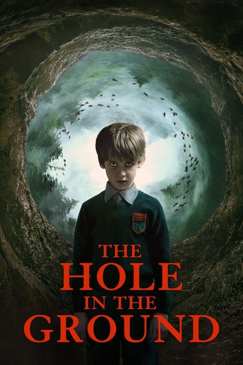 Poster for The Hole in the Ground